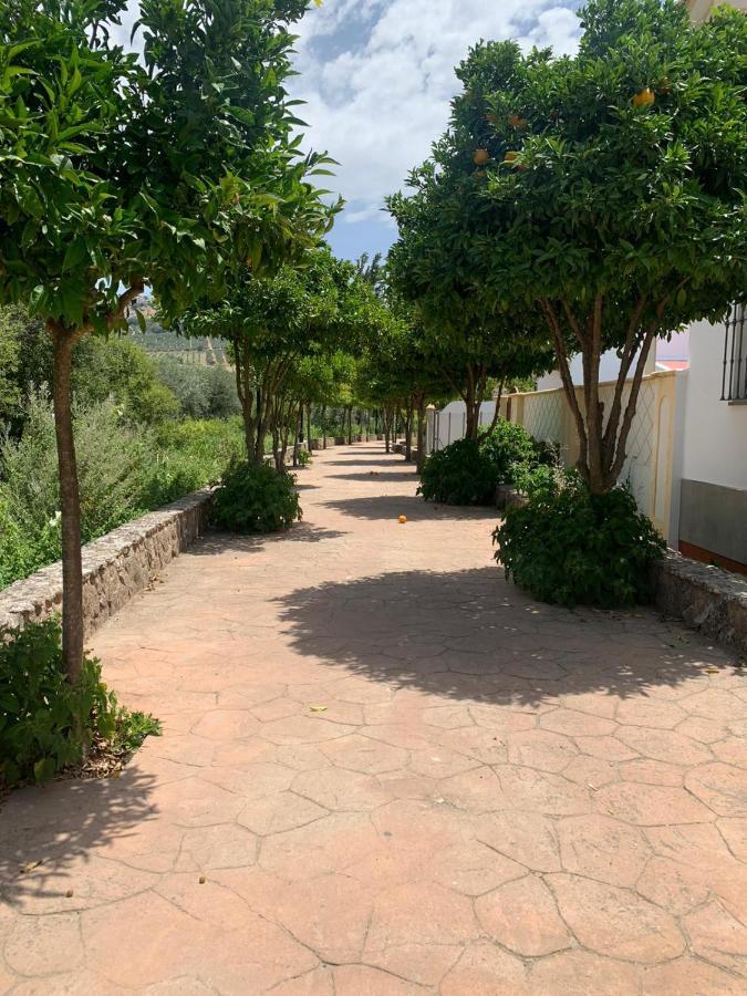 Apartamento En Cuevas Del Becerro Eksteriør bilde